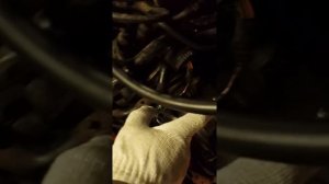 Замена сцепления на vw vento  часть1