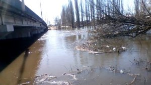 Воронеж Новоусманский район село Новая Усмань