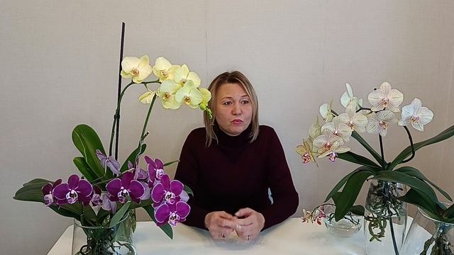 Стимуляторы для орхидей . Польза или вред.