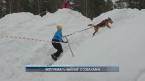 (Рыбинск-40) ЭКСТРЕМАЛЬНЫЙ БЕГ С СОБАКАМИ