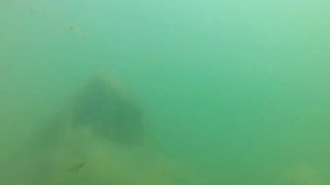 Кондровский карьер июль