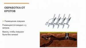 Профессиональная обработка участка от кротов