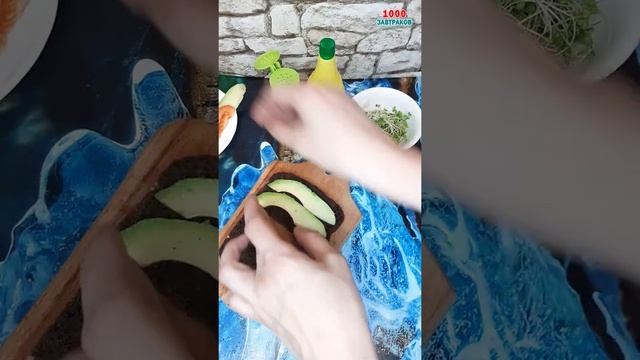 Тост с микрозеленью на завтрак #31 смотреть онлайн