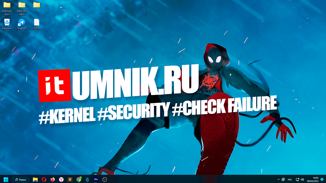 Kernel security check failure