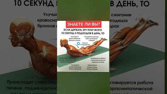 знаете ли вы? если держать позу по несколько подходов... #полезныесоветы #здоровье #зож