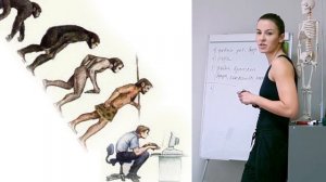 Мужской и женский таз, какая разница?