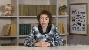 Система кровообращения. Видеоурок по окружающему миру 4  класс