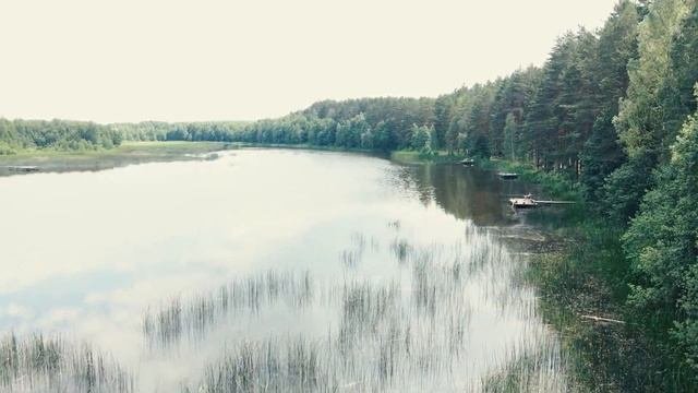 Рыбалка на карпа в Заборье (Минская область). 26-27 июня 2020. Съемка с квадрокоптера.