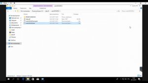 Сторожевой таймер USB WATCHDOG LITE вотчдог
