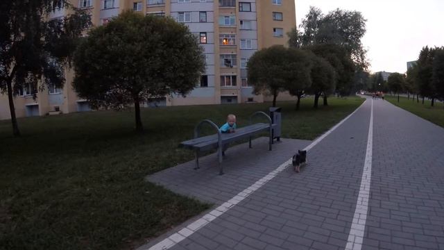 1 сенября 2018 прогулка перед сном смотреть онлайн