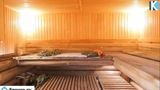 Бүгін Моншаға Түсіңіз, Оның пайдасы өте көп, МОНША ЕМДЕЙДІ, Керек арнасы, Денсаулық смотреть онлайн