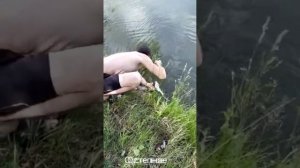 Новосибирская обл. Ордынский район ПРУД СТЕПНОЙ.