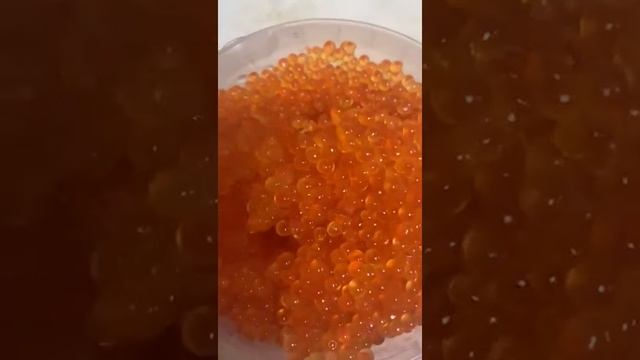 Икра горбуши нерест 2020 смотреть онлайн