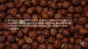 Всё о Витамине E | Science by Zeba Academy