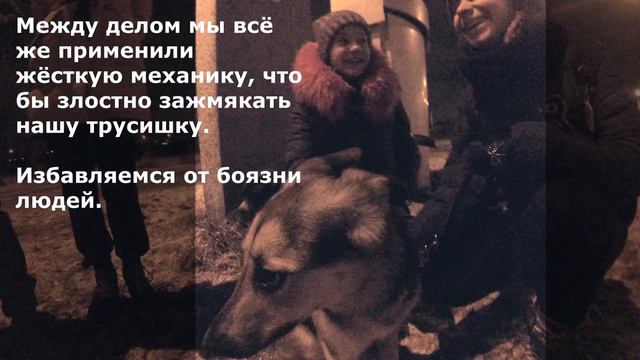 История одной собачки. Анфиска.