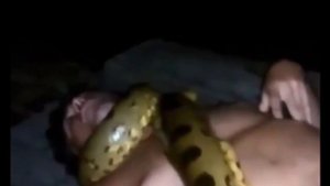 ANACONDA PYTHON ATTACKED HUMAN.INSANLARA  SALDIRI.anaconda python напал на людей