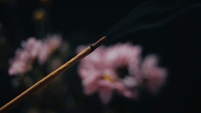Стихотворение «Понять себя...».