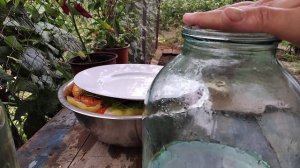 КВАШЕНЫЙ БОЛГАСКИЙ ПЕРЕЦ НА ЗИМУ БЕЗ ЗАМОРОЧЕК И КВАШЕНЫЙ ОСТРЫЙ ПЕРЕЦ НА ЗИМУ-ДВА СУПЕР РЕЦЕПТА!!!