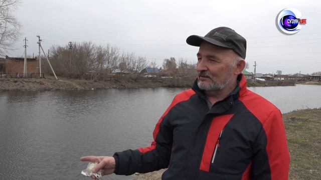 Замор рыбы. Река Пивоварка. Сузунский район.