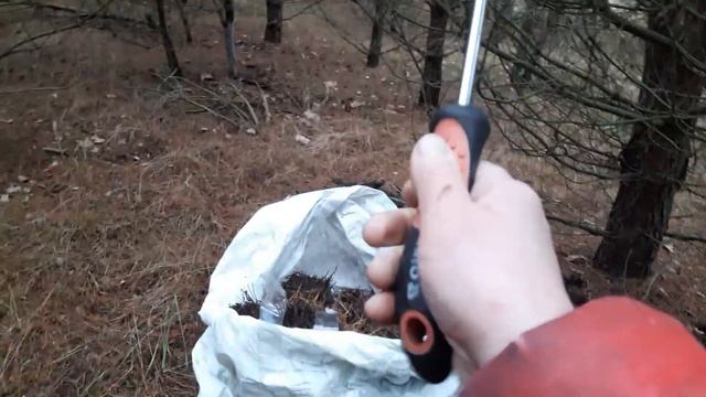 🌻🌻🌻В ЛЕС ЗА ЕДОЙ ДЛЯ ГОЛУБИКИ🌻🌻🌻 смотреть онлайн