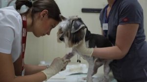 Использование инфузионной помпы