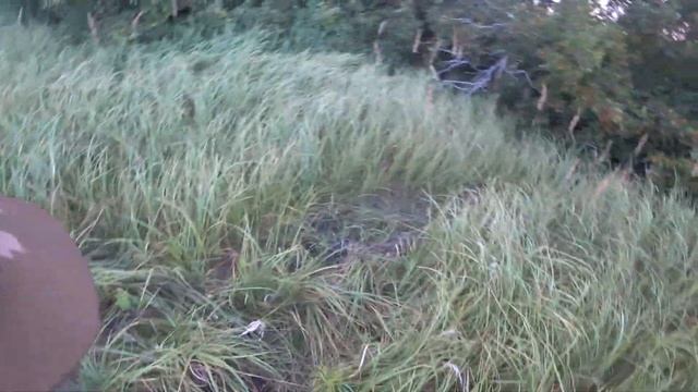 В ПОЛЯ ЗА ШВЕЛЛЕРАМИ И ЛЕМЕХАМИ! ЦЕНА НА МЕТАЛЛ БУДЕТ РАСТИ! Коп металла смотреть онлайн