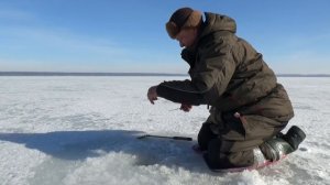 Зимняя рыбалка Глухозимье продолжается.