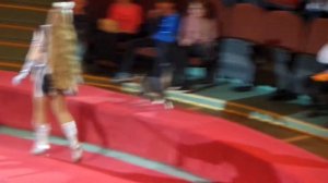 Кошки. Цирк. Кошка в цирке на передних лапах. Cats. Circus. Circus cat on the forepaws.