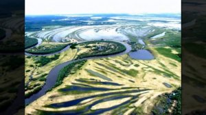 Дурная слава Васюганских болот