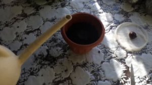 Как Посадить Каштан В Горшочек