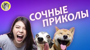 Я РЖАЛ ДО СЛЕЗ FAKES JOKES 2022 #5