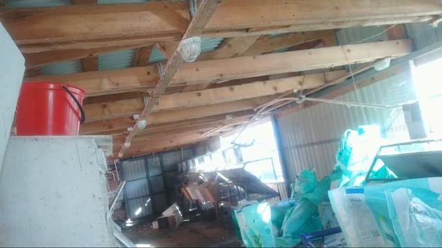 ?Кролиководство в прямом эфире #Макляк #Макрол
