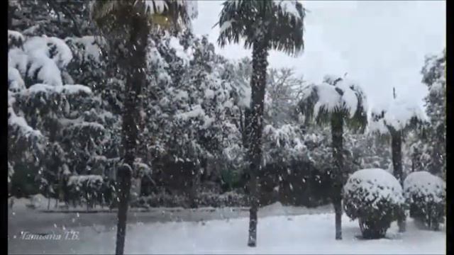 "Снег" - Поёт Татьяна Белоиванова... смотреть онлайн