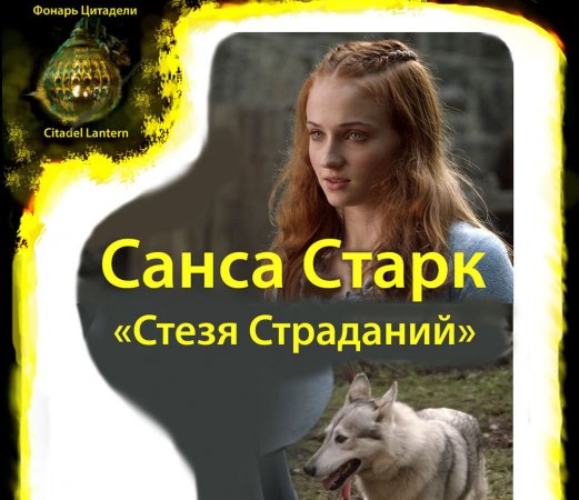 #Shorts Санса Старк “Стезя Страданий” #играпрестолов #сансастарк #короткиевидео #фонарьцитадели