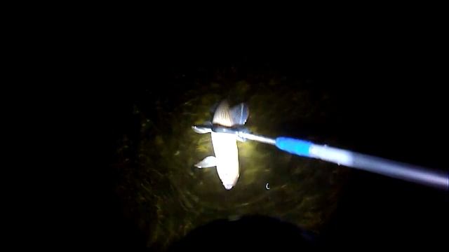 Гавайка,хариус,№2 смотреть онлайн