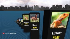 Animal Populations 3D COMPARISON