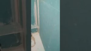 Выравнивание стен гипсокартона, выравнивание полов , монтаж коробов .