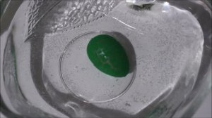 Динозавры из яиц, яйца в воде, динозавры из яиц в воде, РАСТУЩИЕ ДИНОЗАВРЫ ИЗ ЯИЦ В ВОДЕ