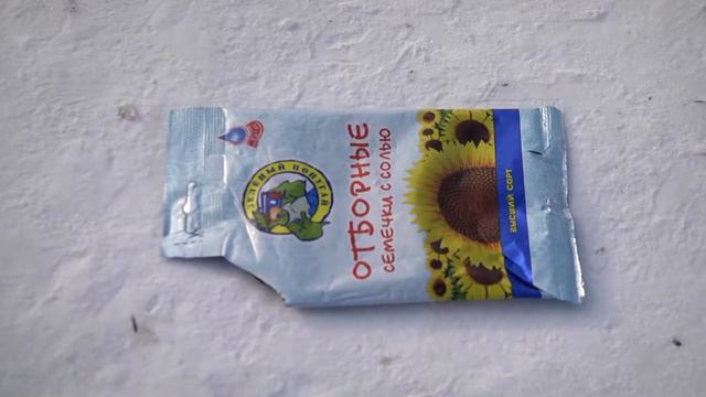 Совесть пропили смотреть онлайн