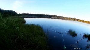 Ловля КРУПНОГО карася поздним вечером на поплавочную удочку.