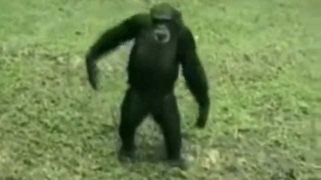 Подари мне платок! смотреть онлайн