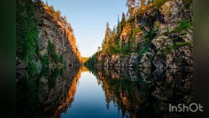 20 самых удивительных фактов о лесах и деревьях. Лес в России. Тайга. Хвойные леса. ТОП - 20 о лесе