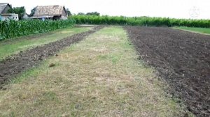 Подготовка нового участка под клубнику.