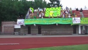 Пробежал по городу олень