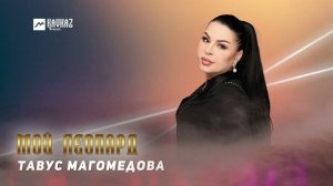 Тавус Магомедова - Мой леопард | DAGESTAN MUSIC