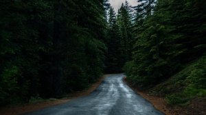 Летние шины PIRELLI POWERGY - обзор 2023