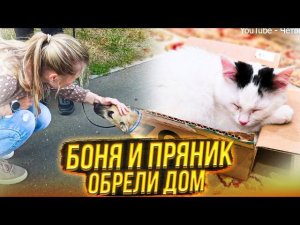 Как встретили Боню и Пряника Хозяева в Москве