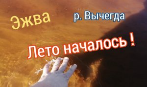 Проходка по берегу Вычегды от Администрации до Дворца спорта  / 1 июня  / Лето начинается