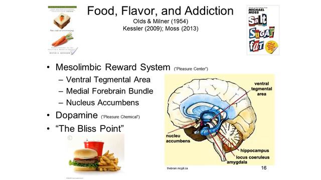 Psych_W-1_Lecture27b смотреть онлайн