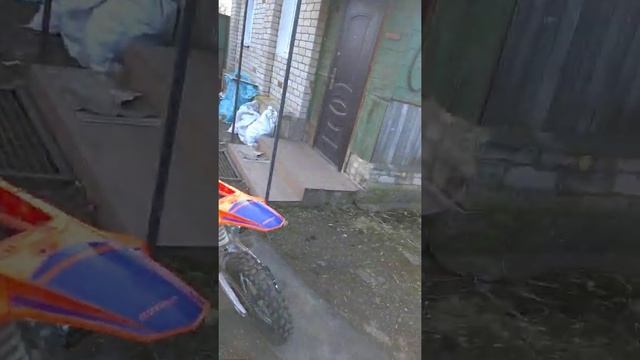Хмм... Привет я завожу питбайк впервые за 5 месяцев!!! смотреть онлайн